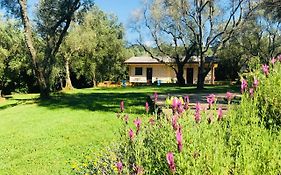 Green Park Hotel & Residence